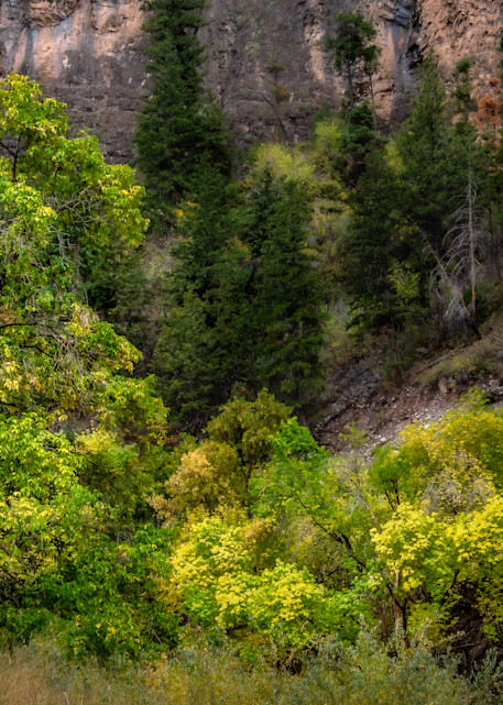 Companions In The Canyon, Glenwood Springs, Colorado Photography Art | Deni Cary Phillips Photographs