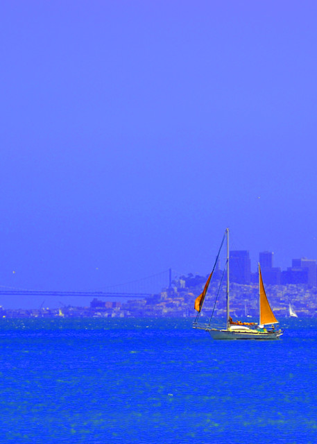 san francisco california skyline sailboat