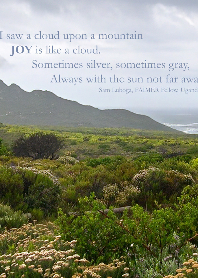 South Africa & Joy Quote, Series 1 