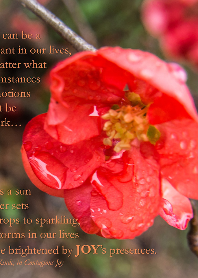Flowers & Joy Quote 4 