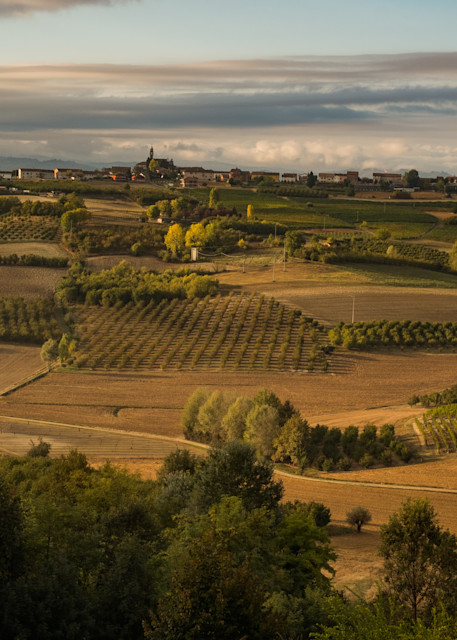 Piemonte vineyard aerial view
