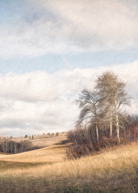 A Late Autumn Rural Landscape Photography Art | Lynne Marie Photography