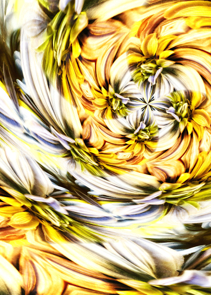 Circular Yellow Swirl Photography Art | Kathleen Messmer Photography