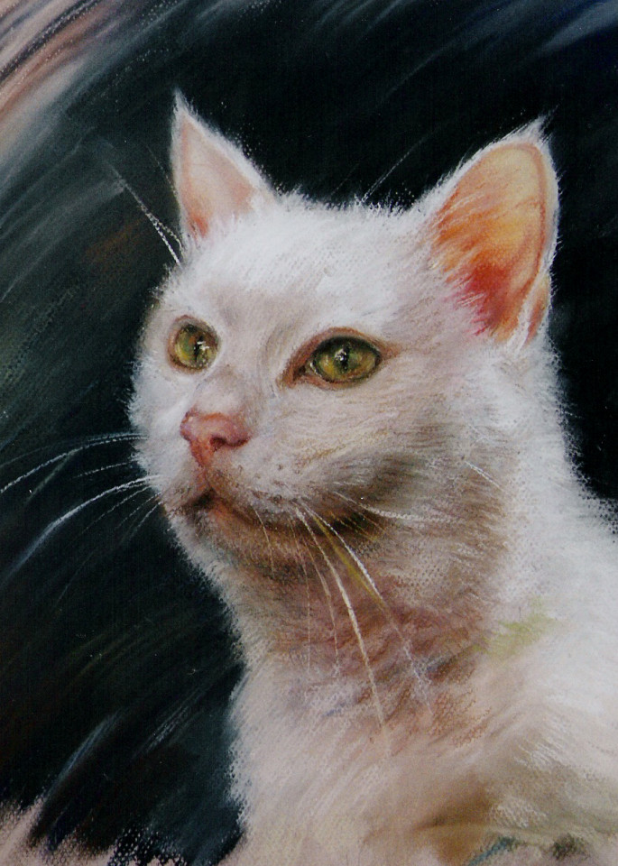   White Cat      Art | ELENA ERŐS FINE ART