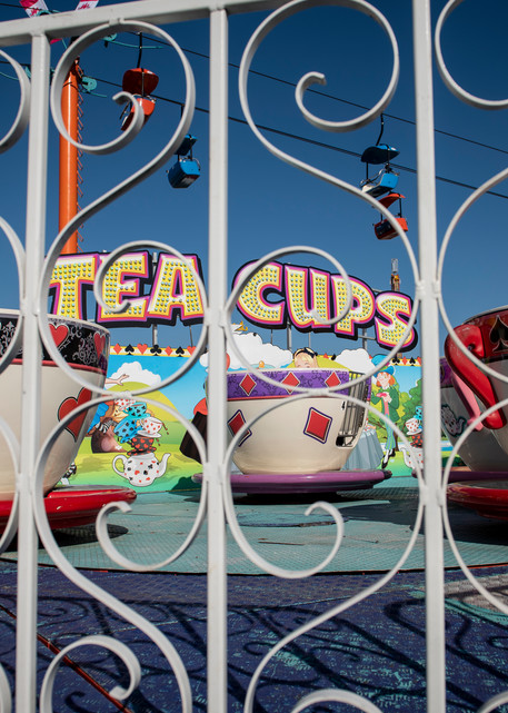 Tea Cups  Photography Art | Lori Ballard Photography