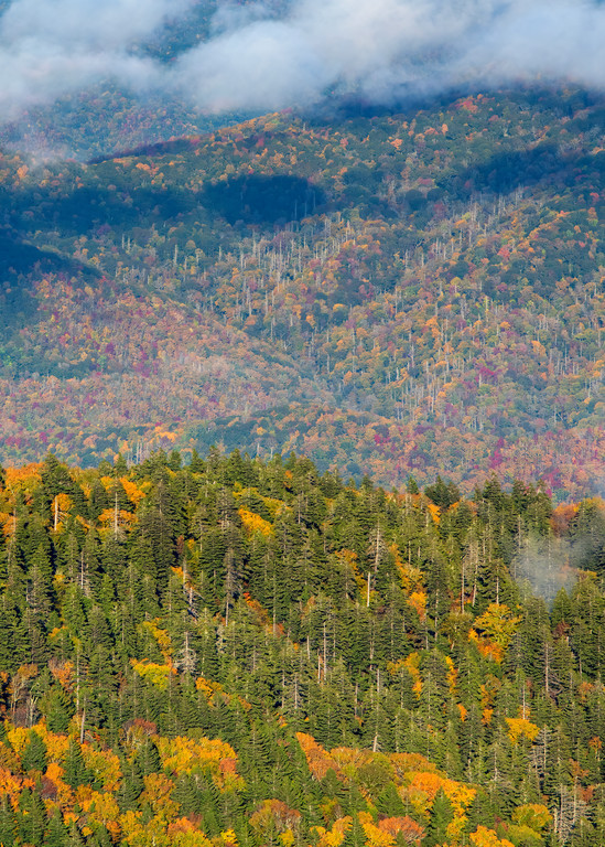 Smoky Mountains Tapestry - Great Smoky Mountains National Park fine-art photography prints