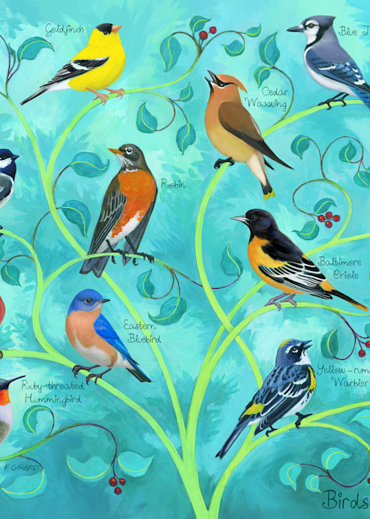 Birds Of America Art | Studio Girard