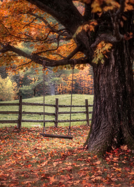 Autumn In Vermont Art | Taylor Photography