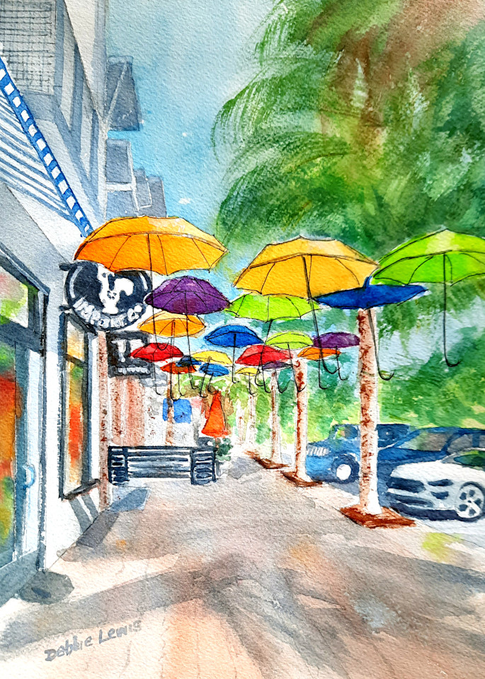 Dunedin Umbrellas