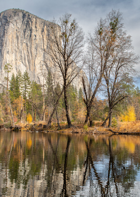Valley View Yosemite Art | Terrie Gray Photography LLC