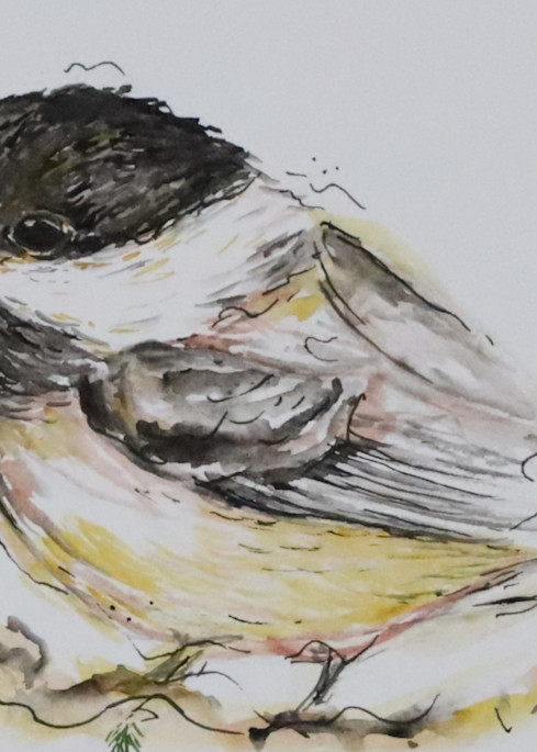 Chickadee Art | Art by Raney Good