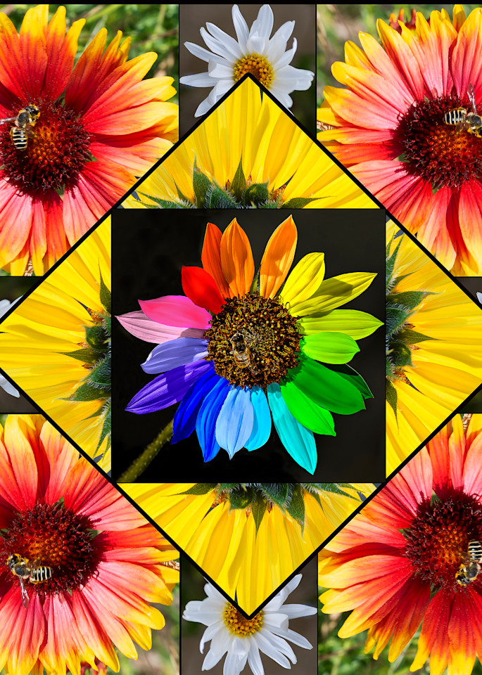 Vo  Sunflower Quilt Block Art | Open Range Images