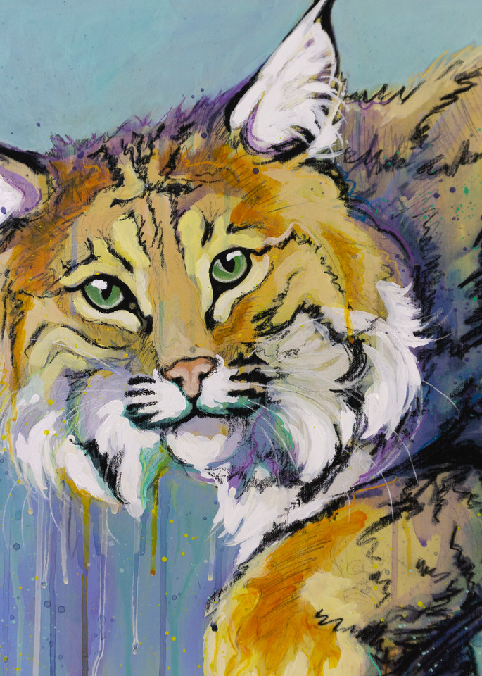 Bobcat Art | Kelsey Showalter Studios