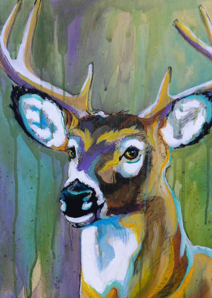 Whitetail Buck Art | Kelsey Showalter Studios