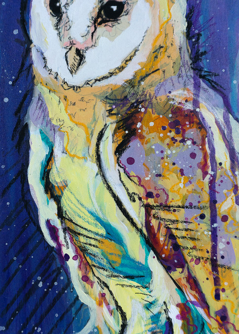 Starry Barn Owl Art | Kelsey Showalter Studios