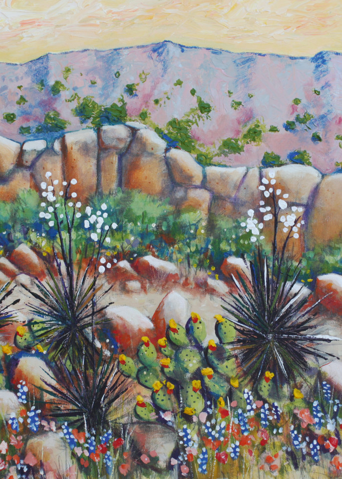 The Desert Rocks 1 Art | Art By Jimmy D McDonald