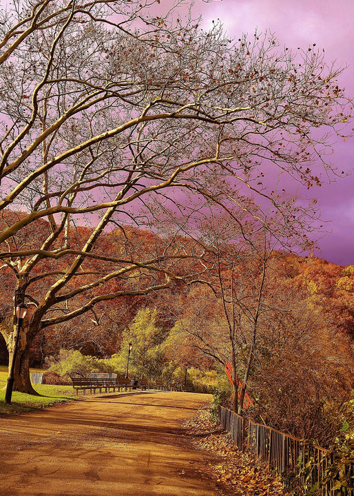 Inwood Lavender Skies One Art | lencicio