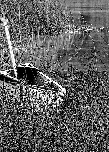 Canoe in Weeds