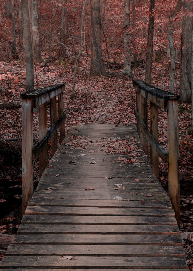 Hike In Fall Photography Art | John's Photos