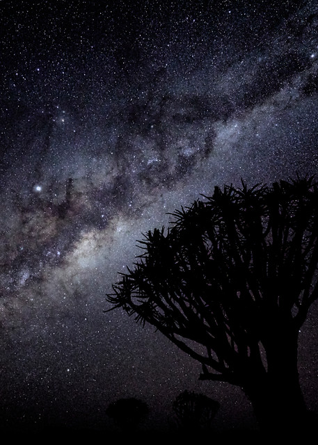 Quiver Trees and Milky Way with Jupiter