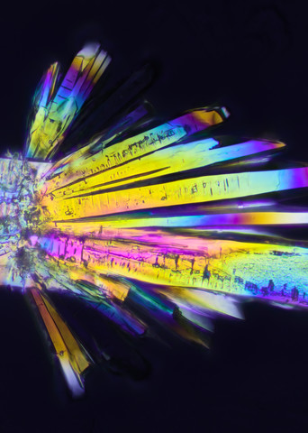 Sodium Sulfite Crystals (Polarized 100X 22 frms)
