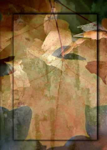 Abstract Leaves 3PC 3D