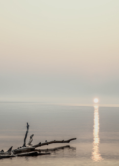 Solitude