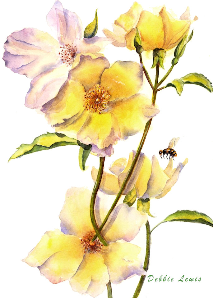 Yellow Flowers with Bee