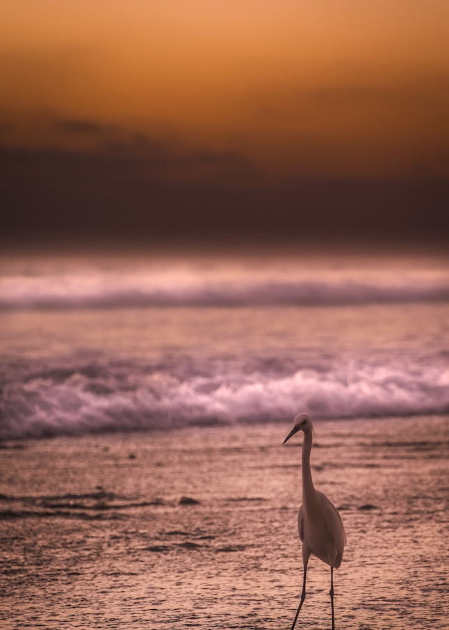 (Almost) Alone At The Beach Photography Art | Rinenbach Photography 