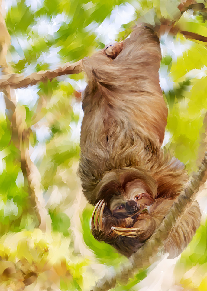 Sloth Art | Rick Peterson Studio