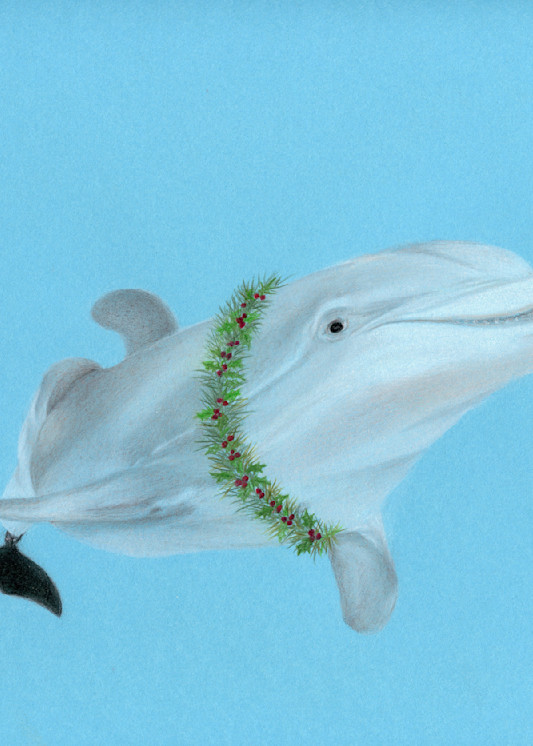 Tribute To Winter Dolphin Art | Kathleen Slaven Art