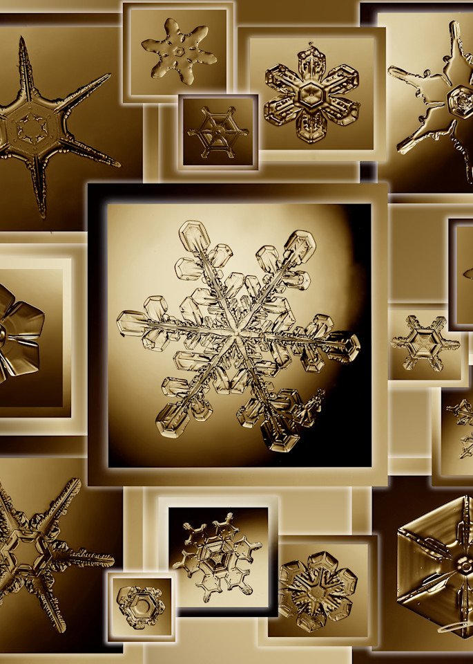 Real Snowflake Collage Sepia On Unique Gifts