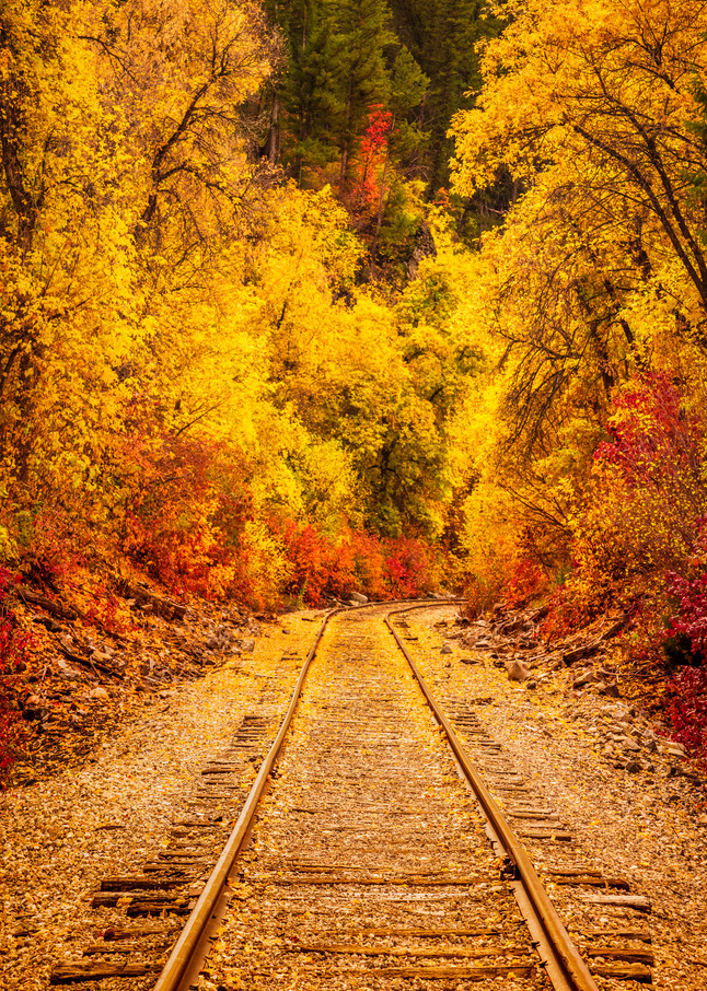 Provo Canyon Autumn Railroad