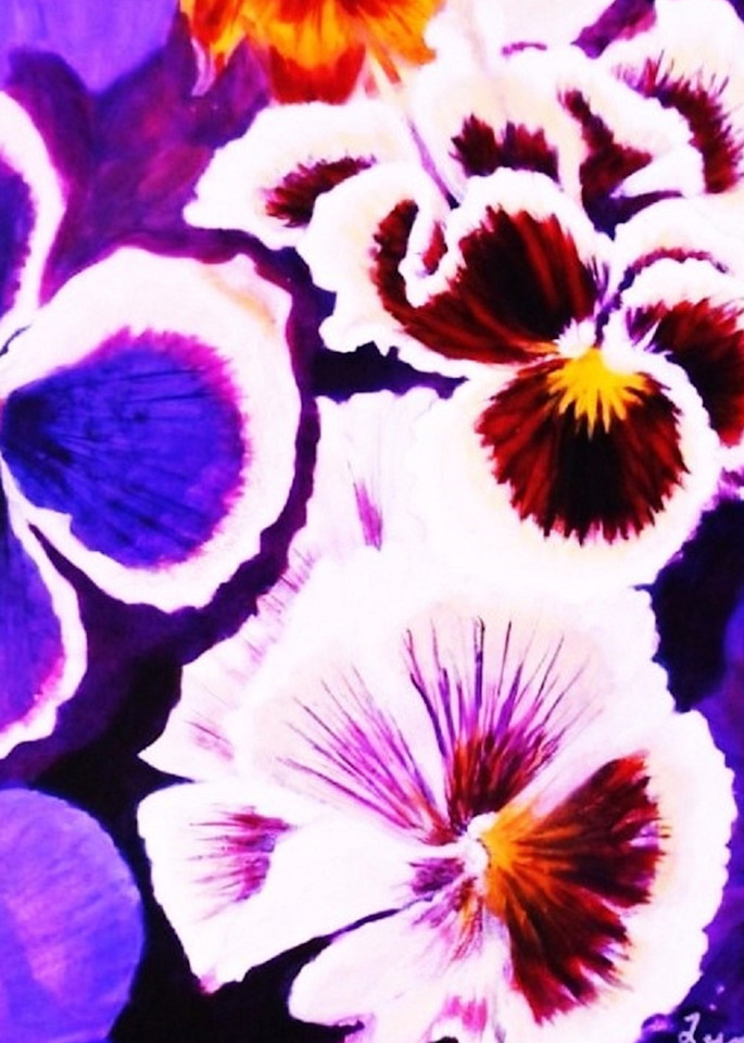 Purple pansies floral Abstract