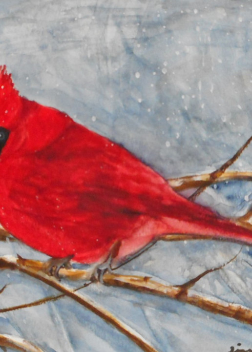 Cardinal  Winter  Landscape Art | tinamelhusArt