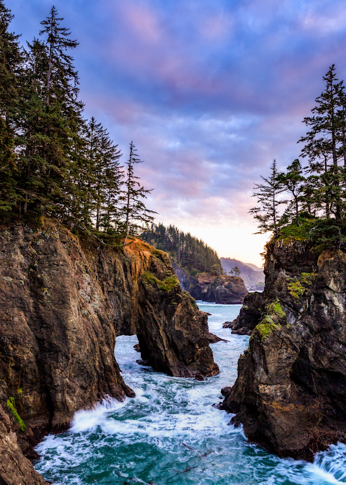 Oregon Coast Xxxvi Photography Art | Michael Schober Photography