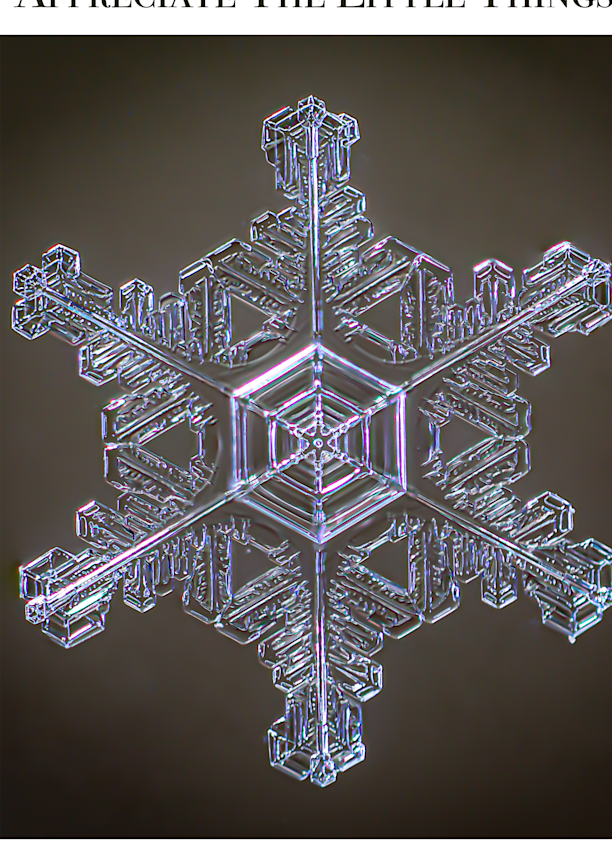 Snowflake On Microscope Slide Photography Art | Real Snowflake Photography LLC