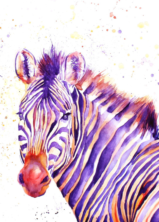 Safari Collection - Zebra