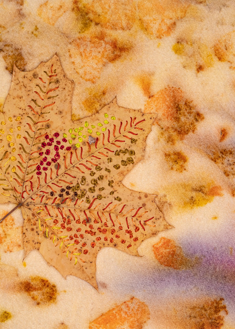 Maple Leaf Art | Linda Doucette Art