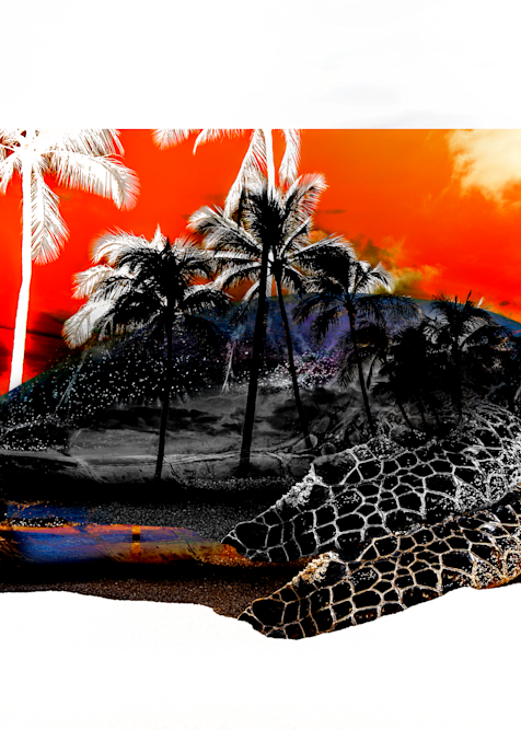 Orange Turtle Hawaii Sunset Photography Art | Brian Johnson Photo