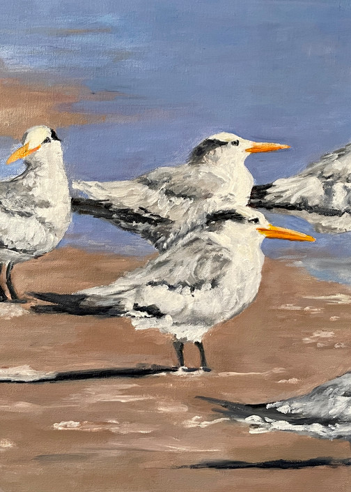 Royal Tern Beach Day O Il Painting Print Art | janetogrenart