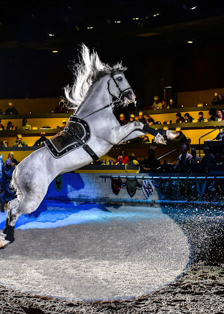 Horse jumping in renaissance arena