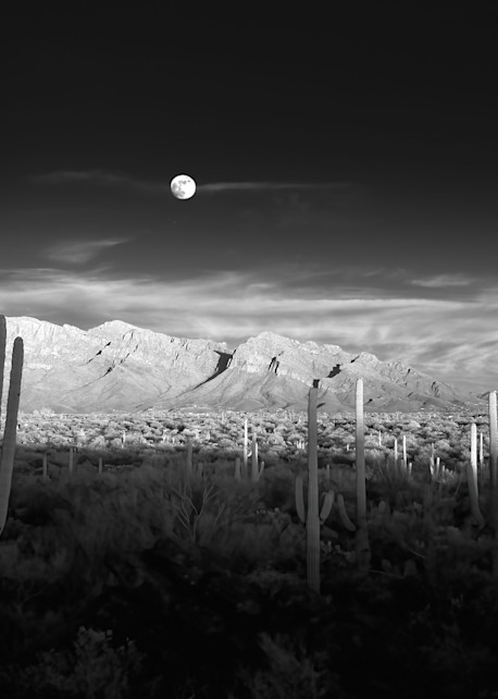 Moonrise2 Photography Art | SilverTube Productions