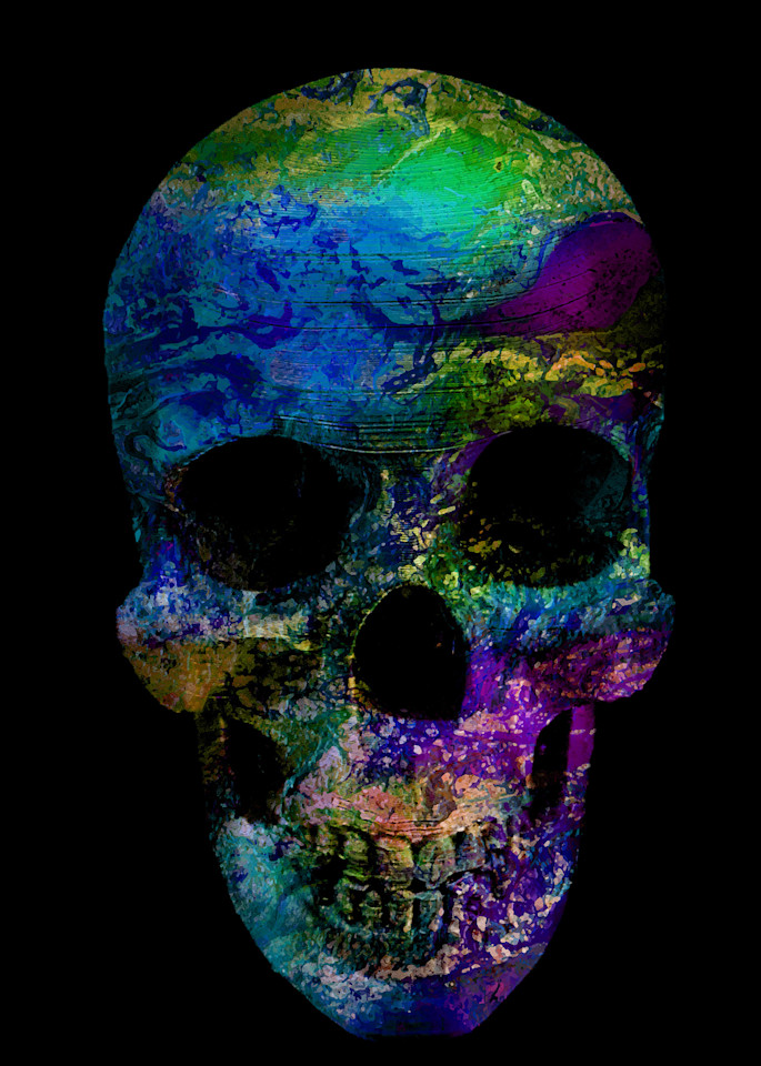 Painted Skull No 11 Art | KD Neeley, Artist