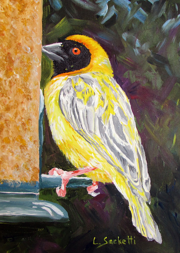 Yellow Weaver Art | Linda Sacketti