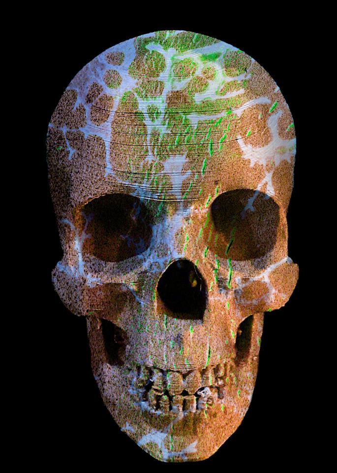 Painted Skull No  117 Art | KD Neeley, Artist
