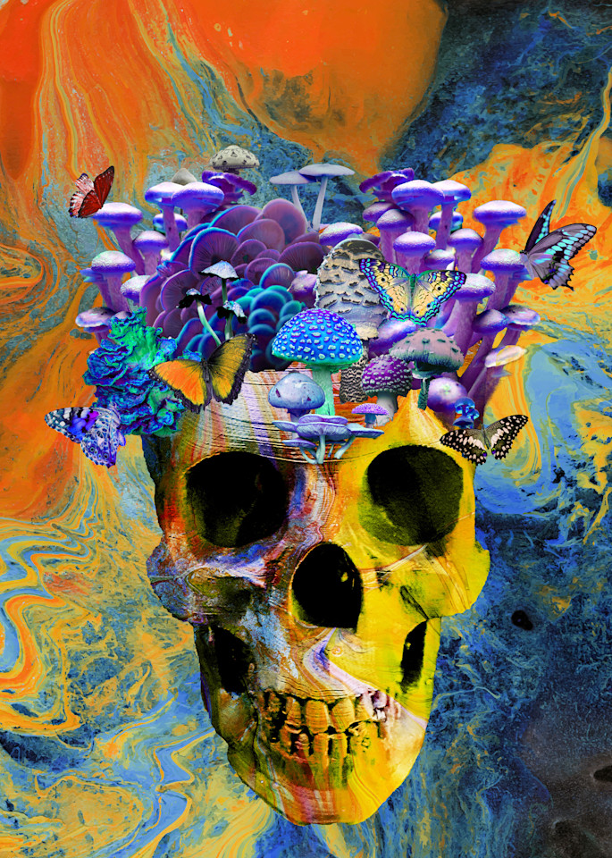Mushroom And Butterfly Skull Copy Art | KD Neeley, Artist