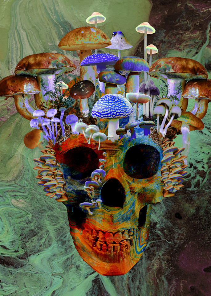 Mushroom Skull Copy Art | KD Neeley, Artist