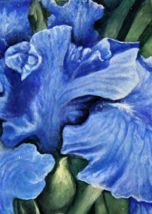 Blue Irises Art | Mark Jungmeyer