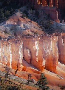 Morning In Bryce Canyon  Photography Art | dannytorobekovart